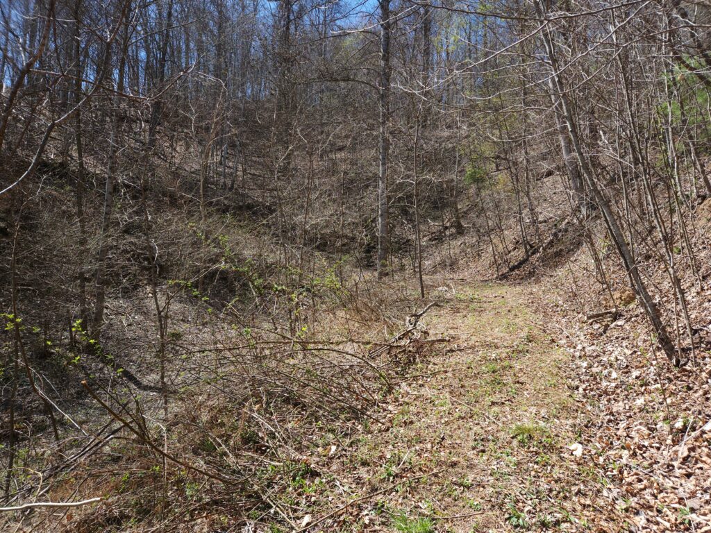 Firefly Mountain community in Marshall NC lot for sale