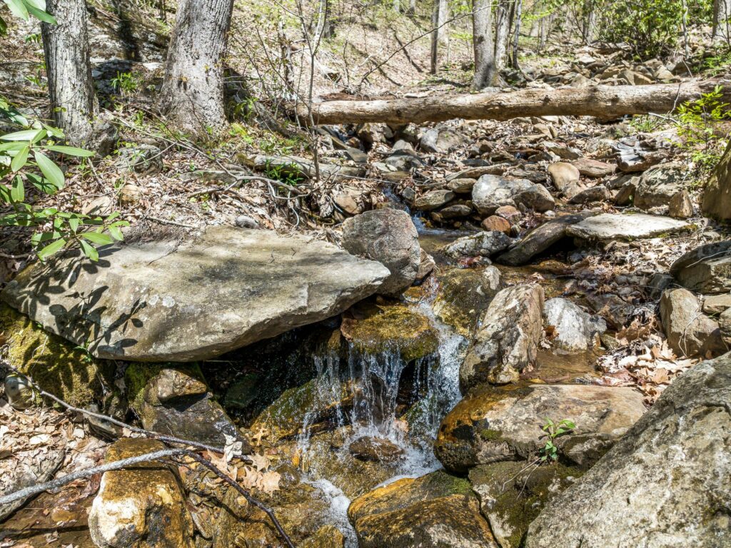 Mountain home with creek in Canton NC