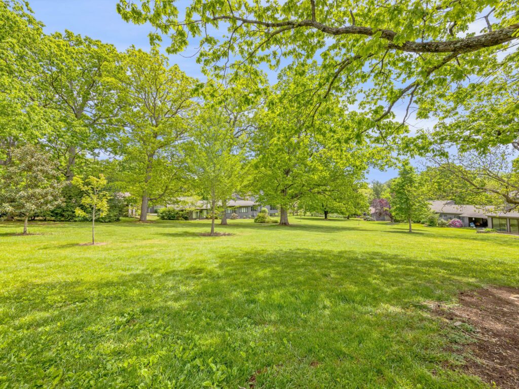 beautiful outdoor space in 55+ low maintenance community in Asheville
