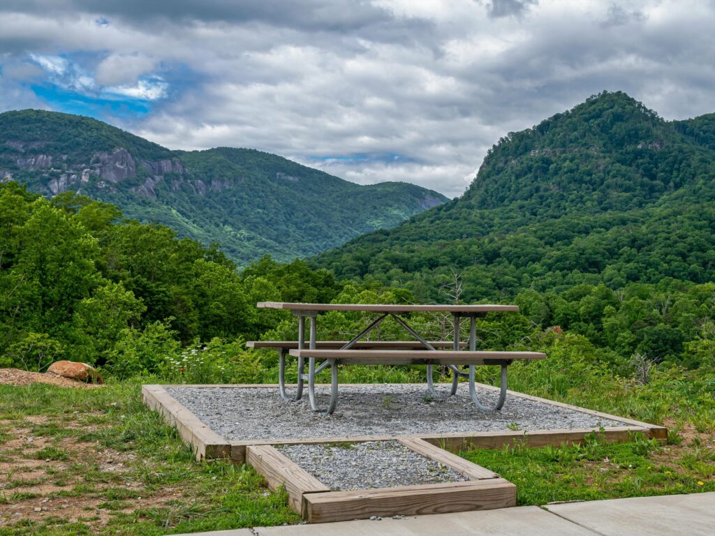 lot for sale in Lake Lure's gated Firefly Cove adjacent to Chimney Rock State Park