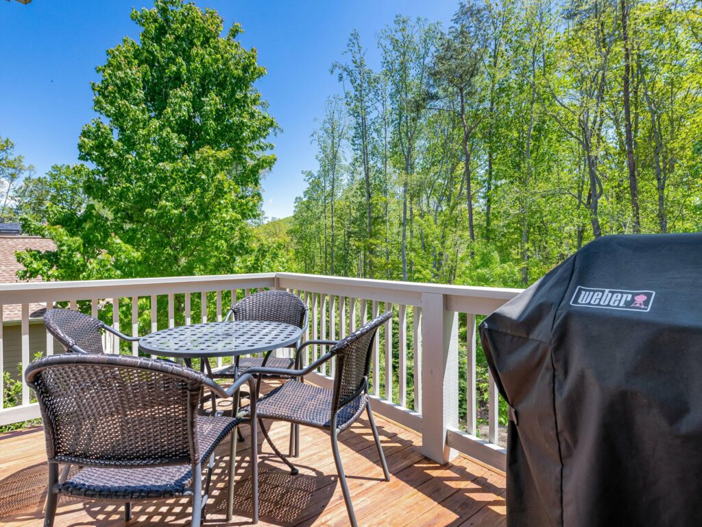 Craftsman home for sale in Asheville's Biltmore Park back deck