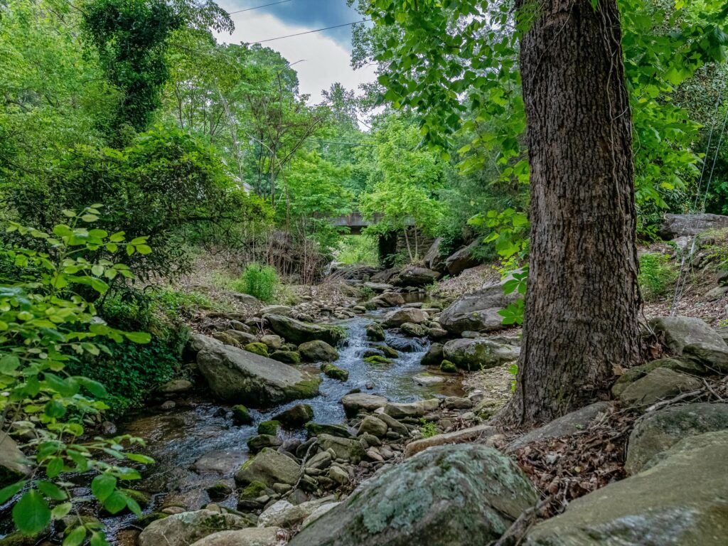 lot for sale in Lake Lure's gated Firefly Cove with community amenities