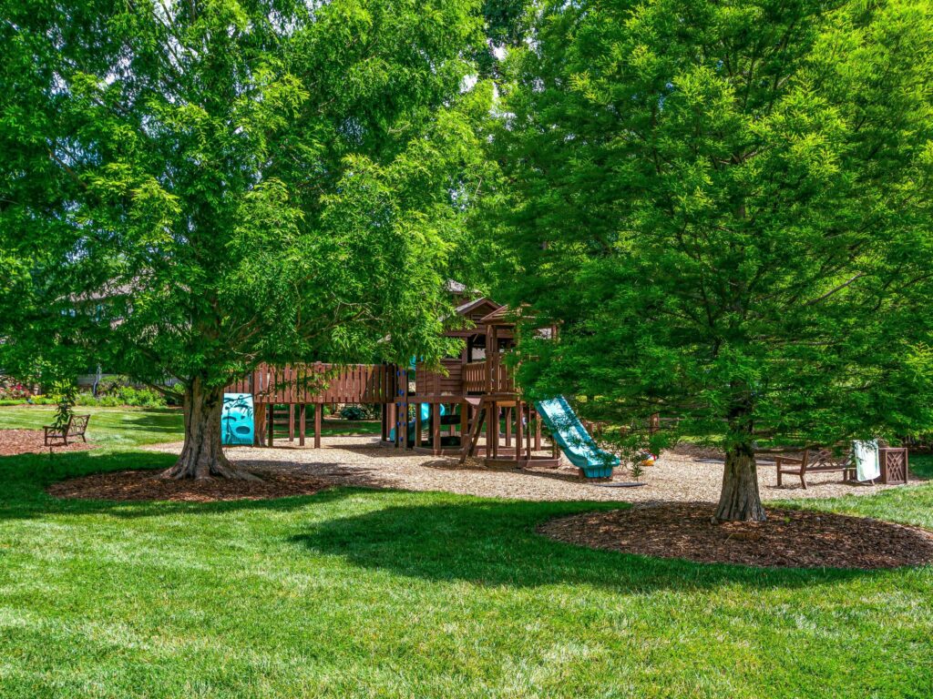 Biltmore Lake playground