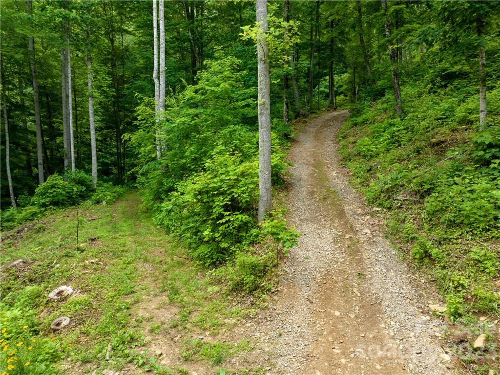 off-grid land with ATV trails and large acreage