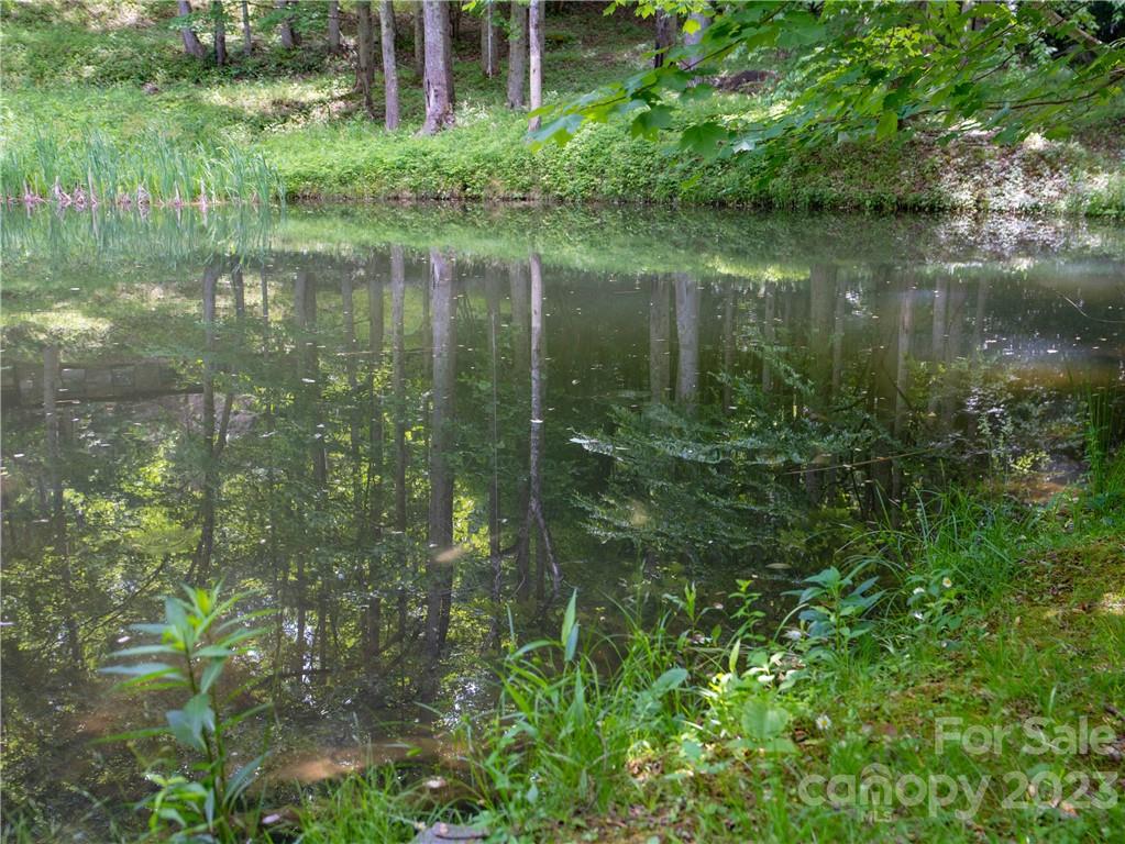 off-grid land with fresh water sources