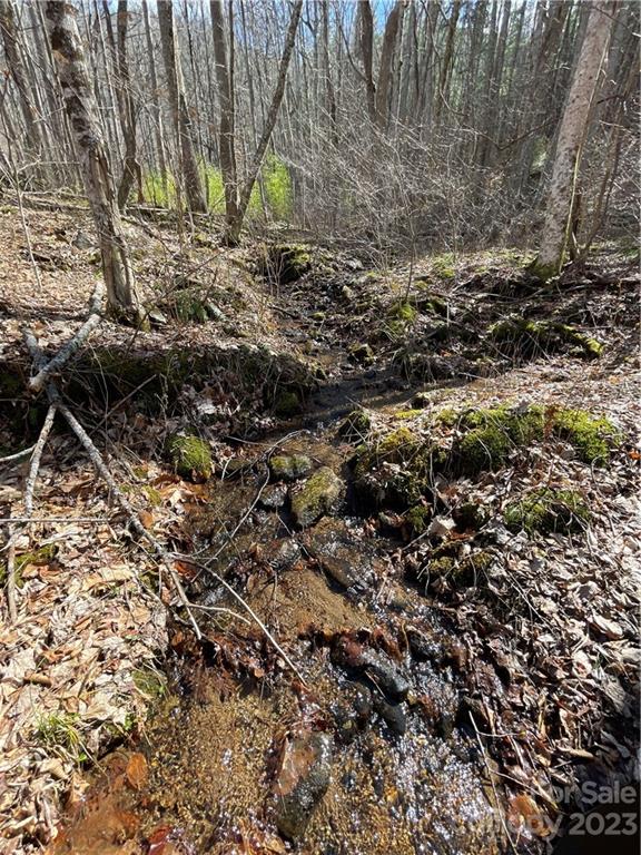 Off-grid land and bunker in Appalachian Mountains