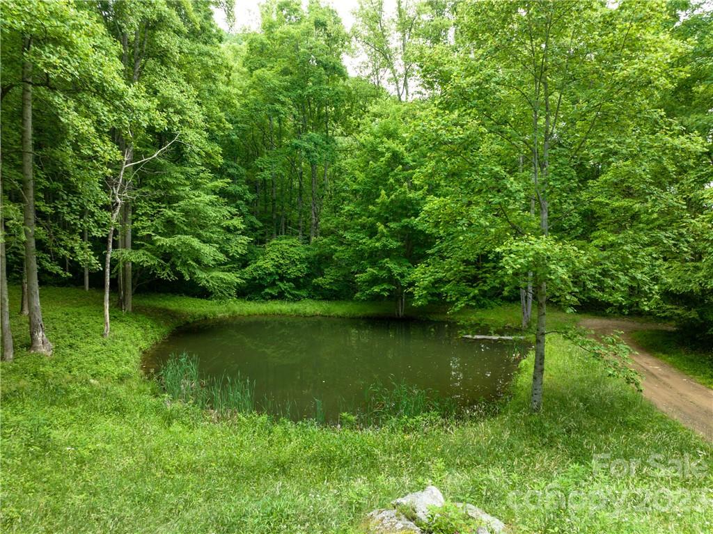 off-grid land with fresh water sources