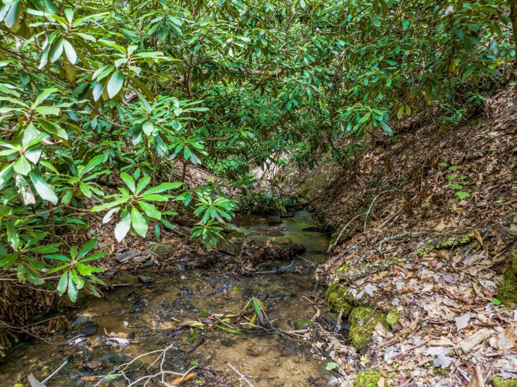 land with creek in East Asheville