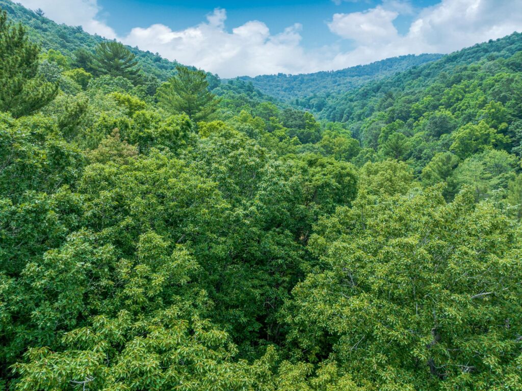 Land with Homesites for Sale in Riceville Area of East Asheville