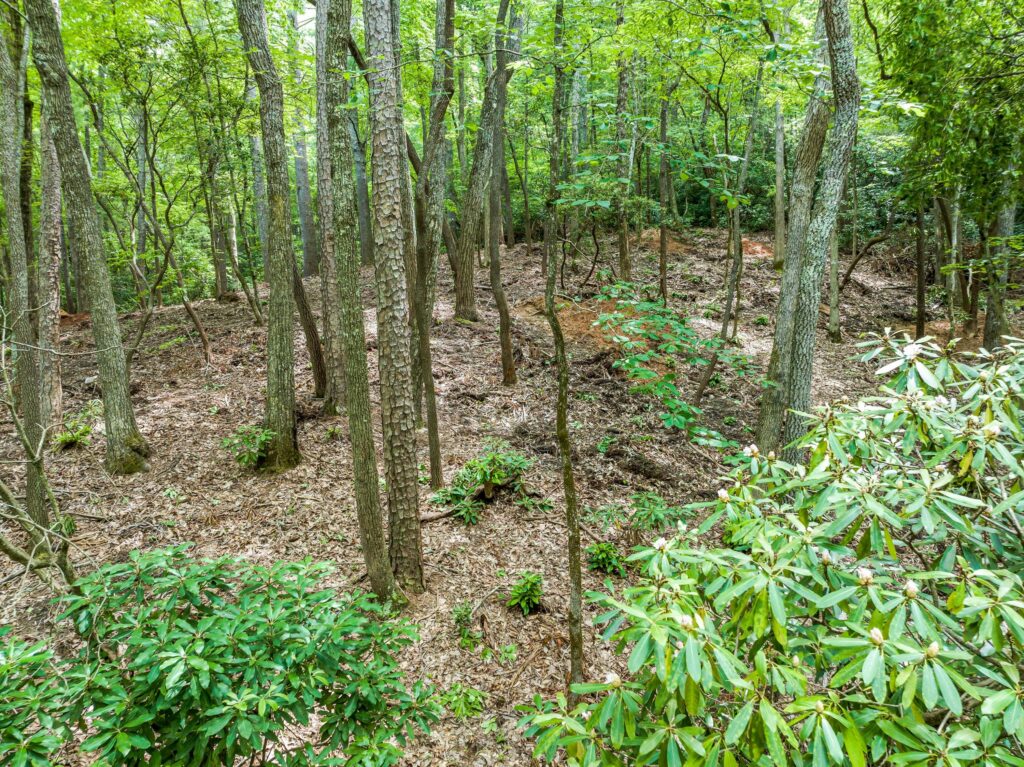 Land with Homesites for Sale in Riceville Area of East Asheville