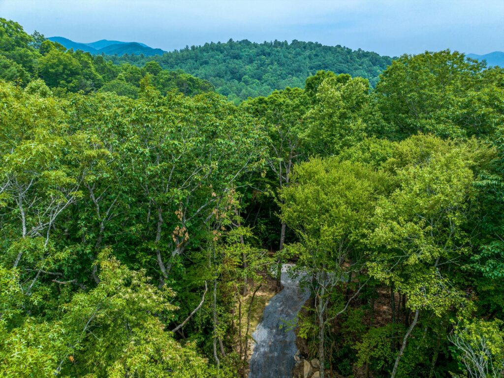 view for Asheville land for sale