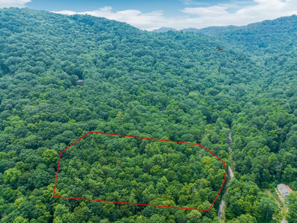 Land with Homesites for Sale in Riceville Area of East Asheville with views