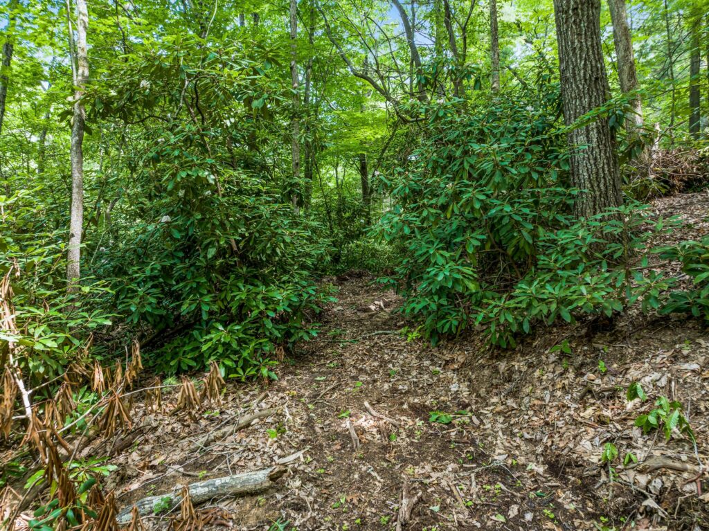 Land with Homesites for Sale in Riceville Area of East Asheville