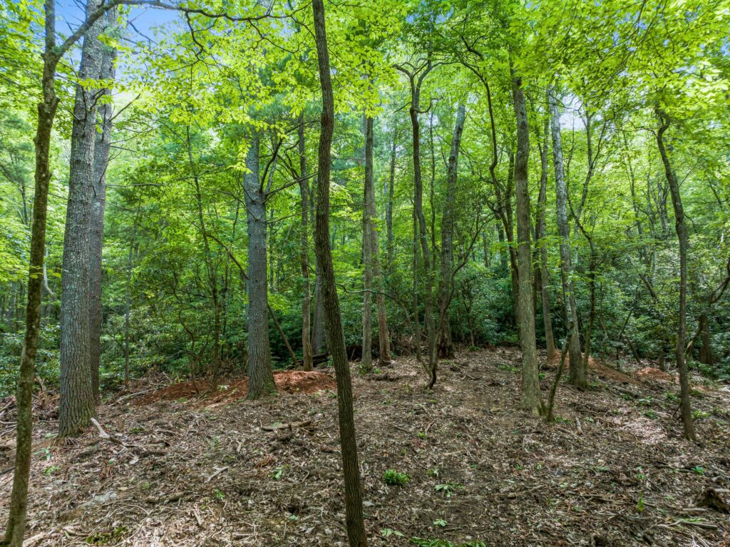 Land with Homesites for Sale in Riceville Area of East Asheville