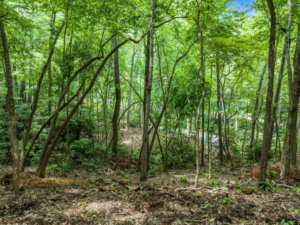 Land with Homesites for Sale in Riceville Area of East Asheville