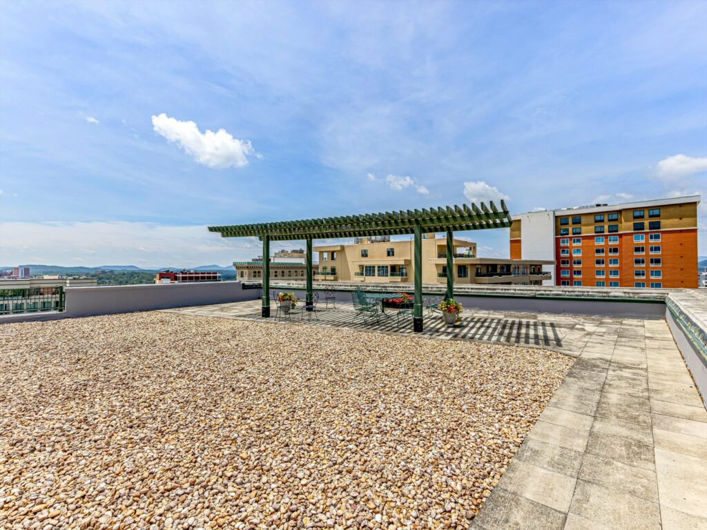 downtown Asheville condo for sale with rooftop patio