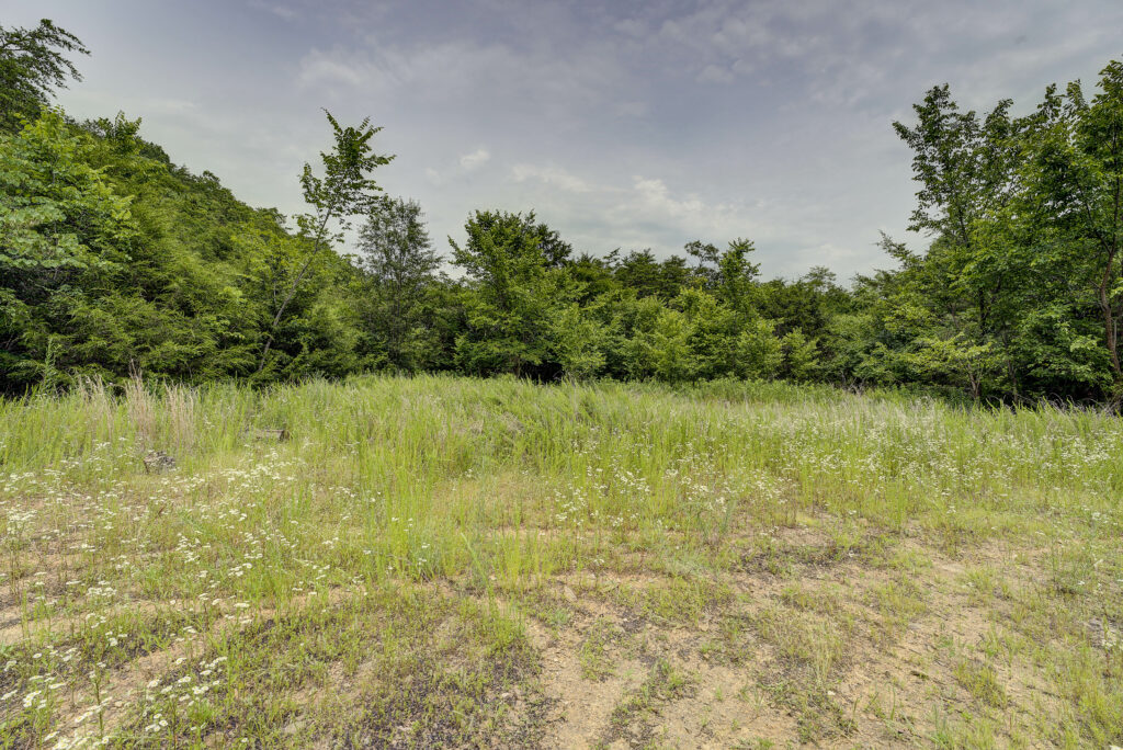 Land for Sale Across from Bristol Motor Speedway in NE Tennessee