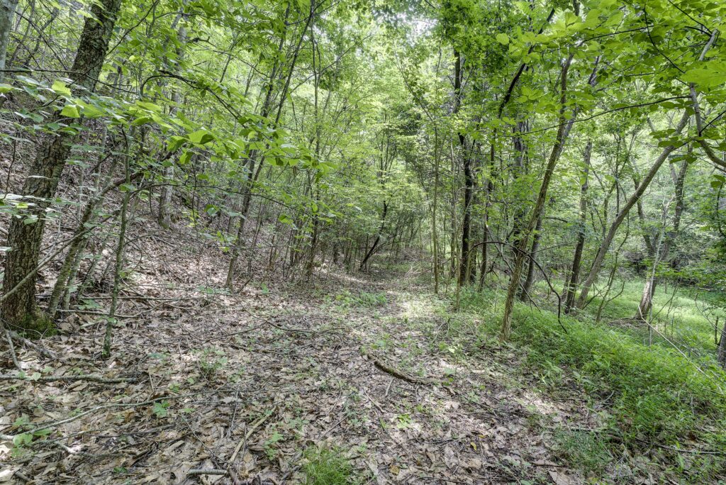 Land for Sale Across from Bristol Motor Speedway in NE Tennessee