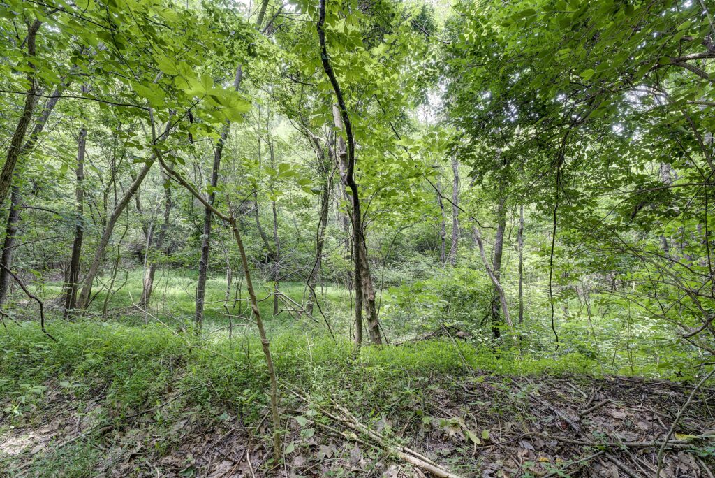 Land for Sale Across from Bristol Motor Speedway in NE Tennessee