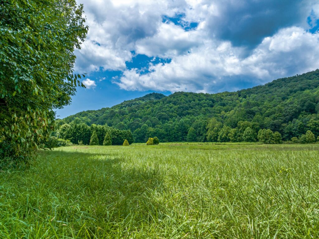 Prime Western NC Tract with Development Potential in Maggie Valley
