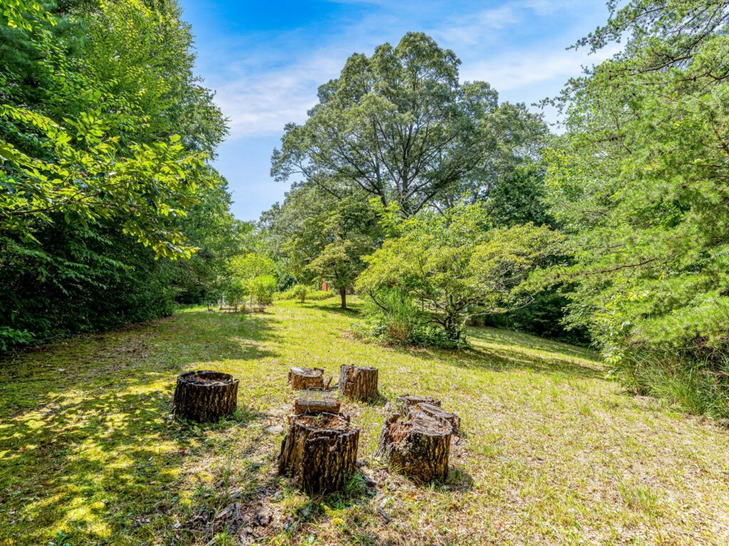 Mid-Century Modern Home for Sale in Fairview large yard