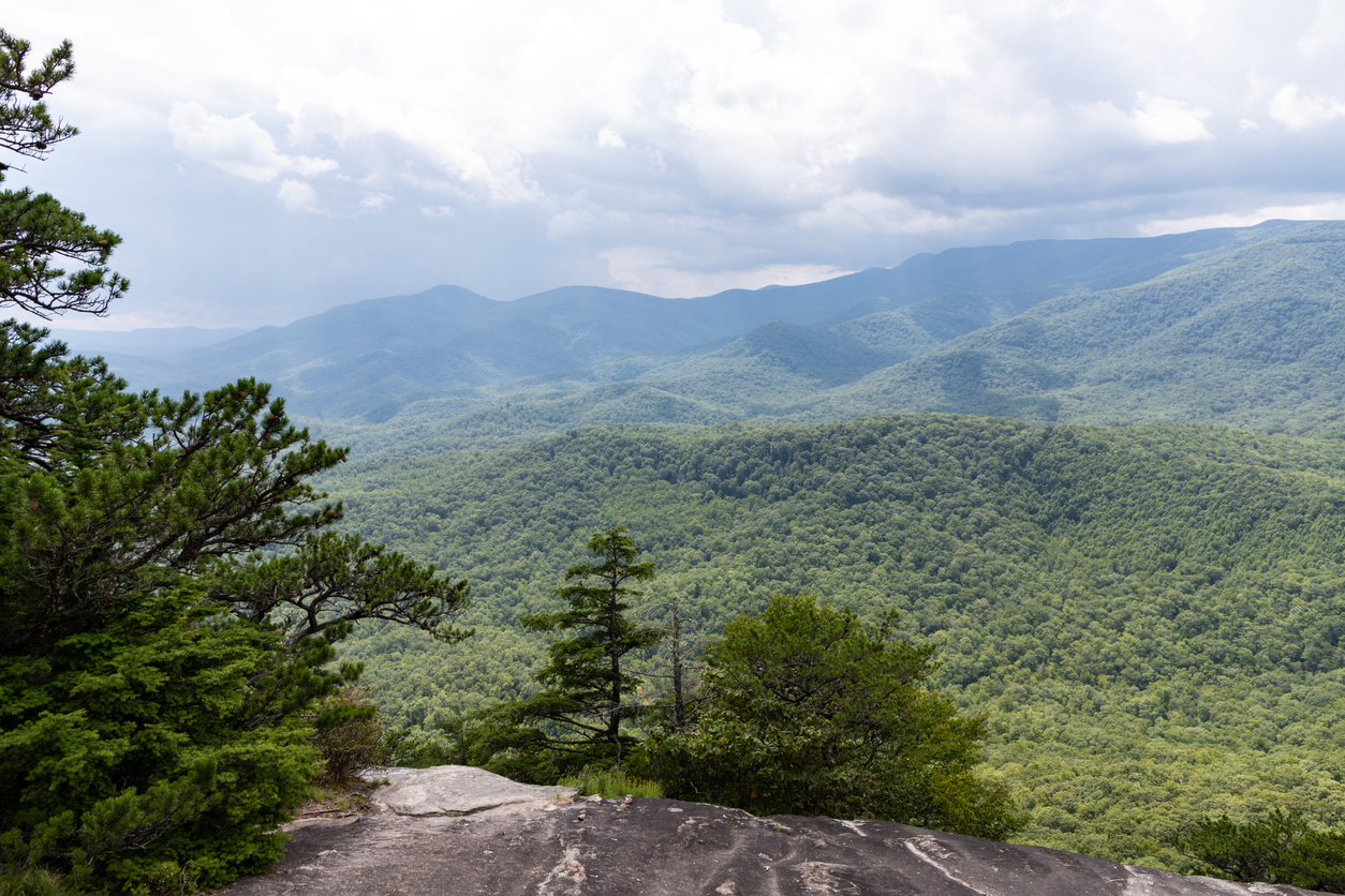 Blue Ridge Parkway Hikes within One Hour of Asheville - Altamont ...