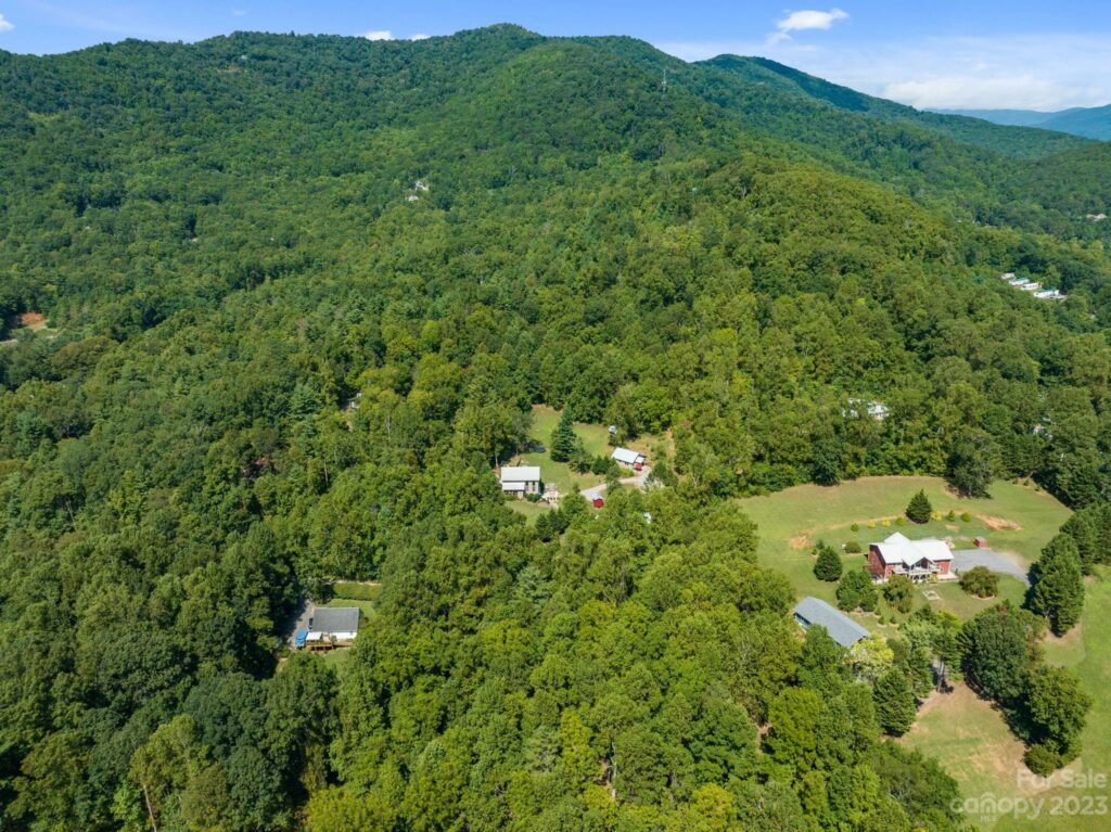 Unique Live-Work Property for Sale in Swannanoa with house, guest house, studio apartment, and shop