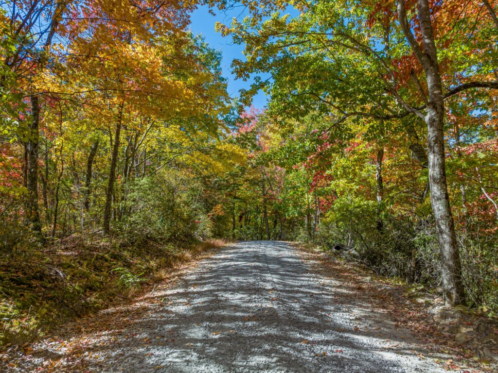 Exceptional Mountain Estate for Sale in Lake Lure