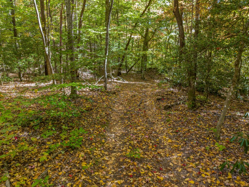 Exceptional Mountain Estate for Sale in Lake Lure hiking and ATV trails