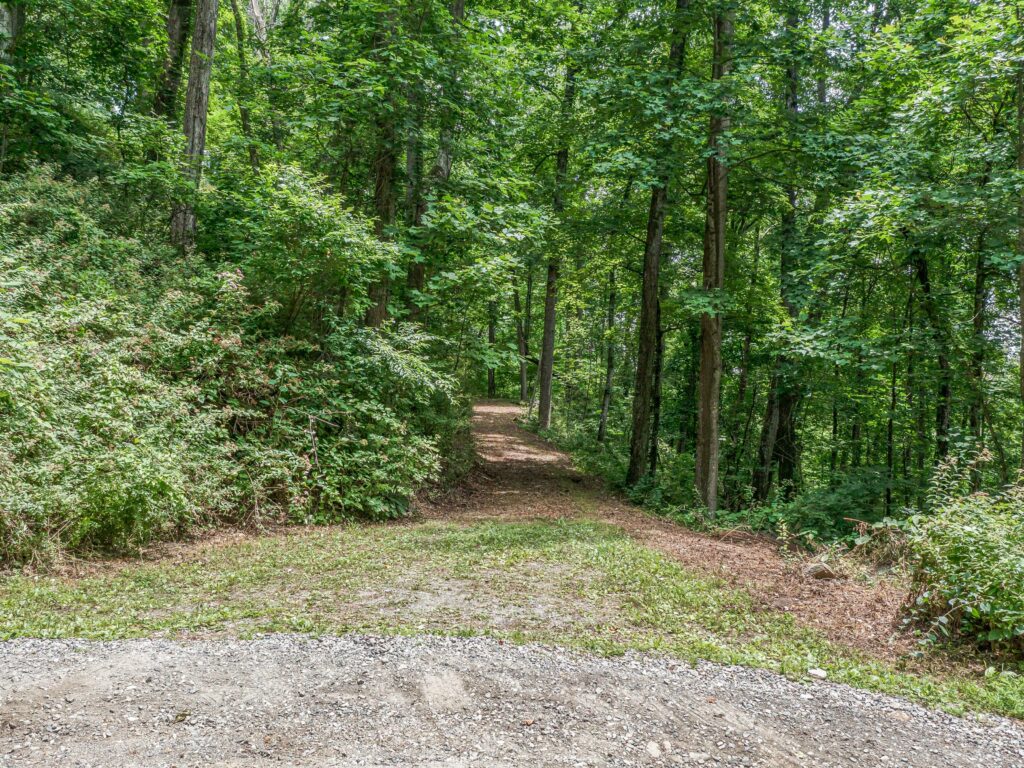 Prime Mountain Lot in Asheville NC Town Mountain Rd driveway cut in
