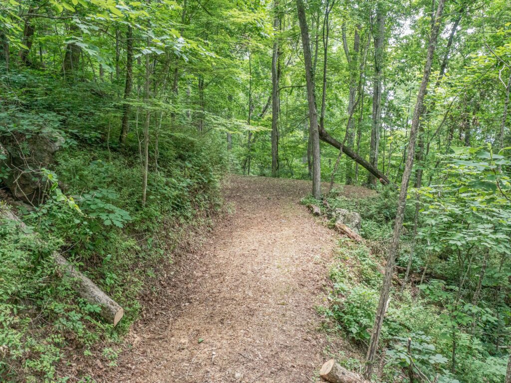 Prime Mountain Lot in Asheville NC Town Mountain Rd wooded