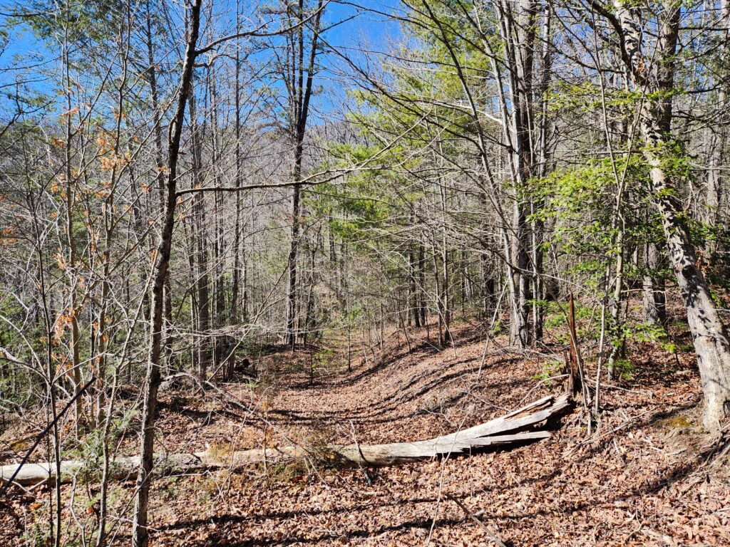 Mountain View Lot in Private Gated Community near Hot Springs NC