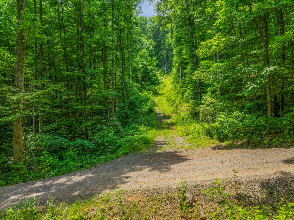 Swannanoa Mountain Lot with Improvements for Sale driveway
