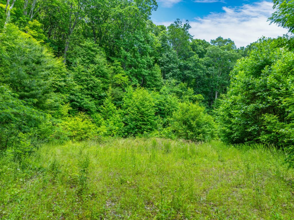 Swannanoa Mountain Lot with Improvements for Sale
