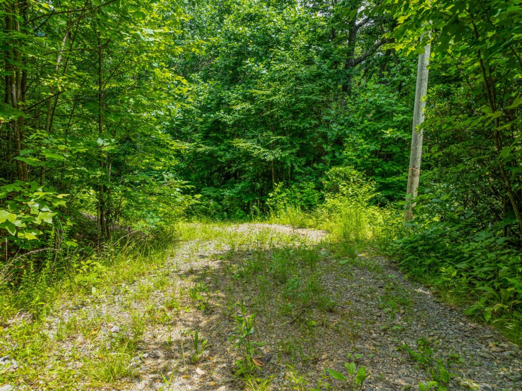 Swannanoa Mountain Lot with Improvements for Sale grading in place 