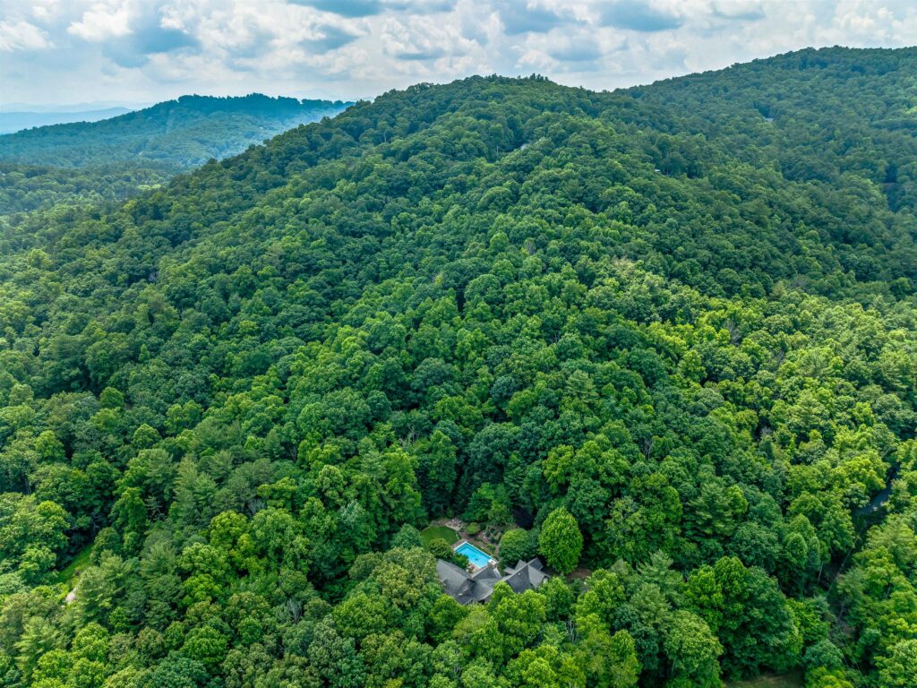 Arts and Crafts Home in South Asheville
