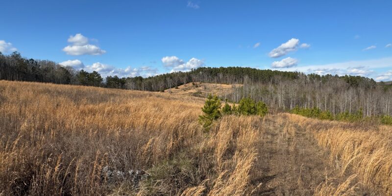 Tryon Meadows Pea Ridge Road