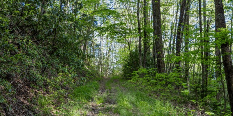 Land in the mountains